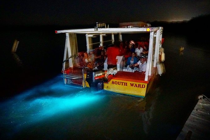 Luminous Lagoon "Glistening Waters" Tour from Grand Palladium Resorts - Why the Luminous Lagoon is worth seeing