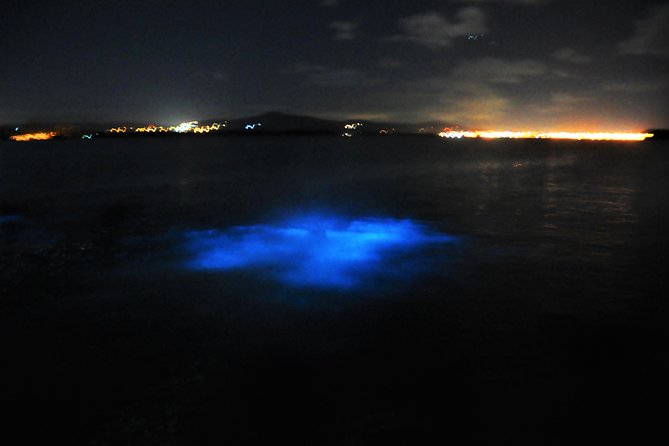 Luminous Lagoon "Glistening Waters" Tour from Grand Palladium Resorts - Arriving at Glistening Waters in Falmouth