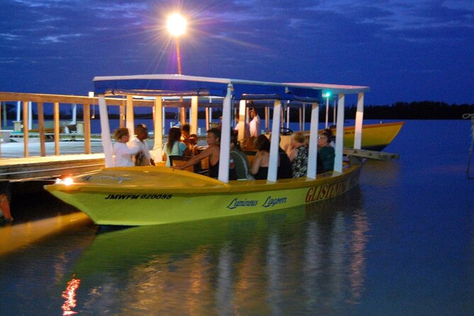Luminous Lagoon Glow in the Dark Boat Tour from Montego Bay - Swimming in the cold blue-green light