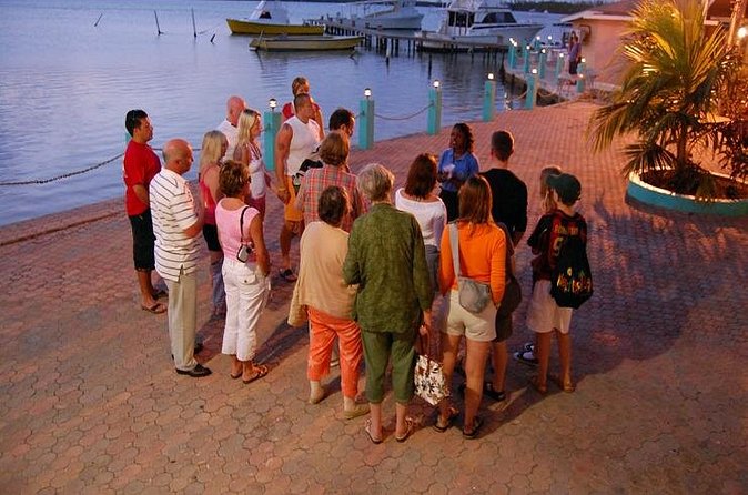 Luminous Lagoon Night Cruise From Montego Bay - The optional swim and provided life jackets
