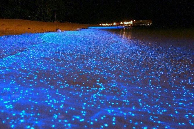 Luminous Lagoon Night-Time Tour from Montego Bay - Swimming for 45 minutes, or watching from the boat