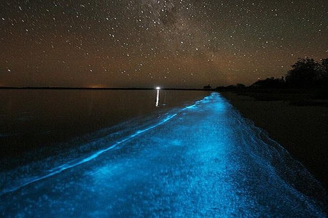 Luminous Lagoon Night-Time Tour from Montego Bay - What the $105 price really covers