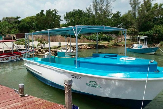 Luminous Lagoon Night-Time Tour from Montego Bay - Cancellation and booking advice