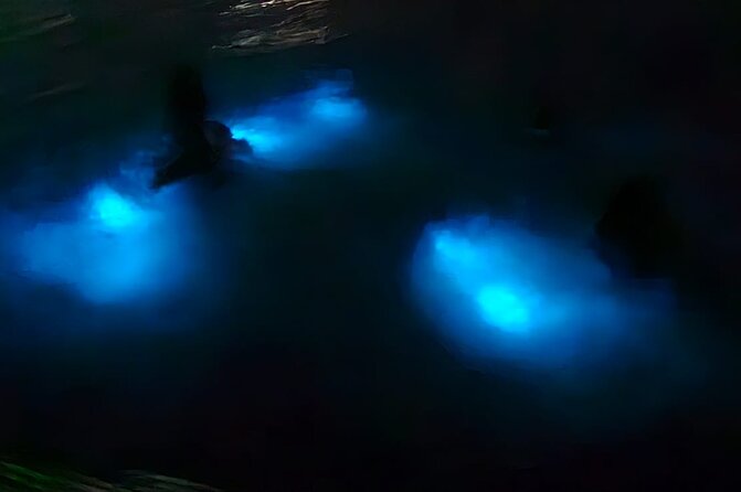 Luminous Lagoon Night Tour and Swim/Fire Dance from Montego Bay - Key points to know before booking