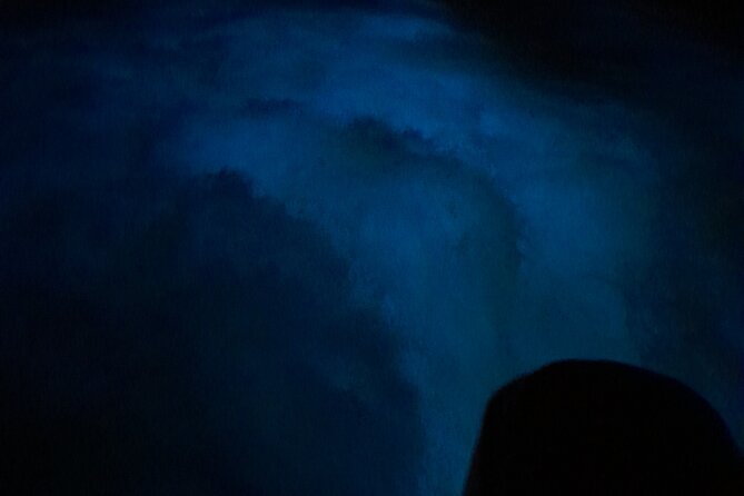 Luminous Lagoon Night Tour and Swim/Fire Dance from Montego Bay - What the $63 price really buys