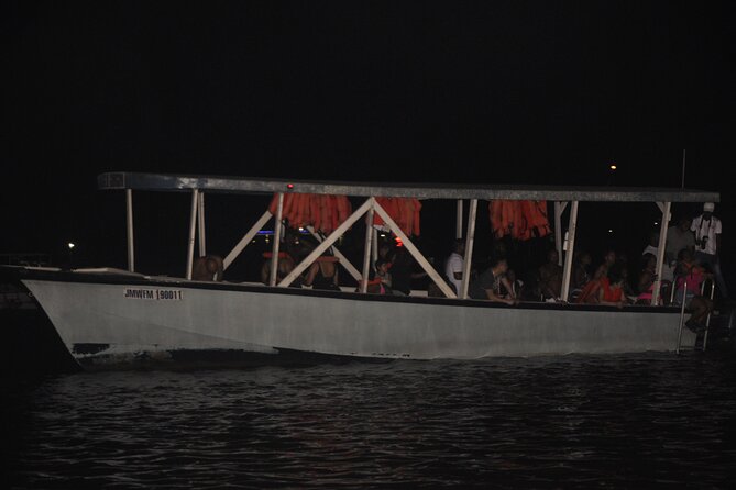 Luminous Lagoon Night Tour from Montego Bay - Blue light in the water at Falmouth