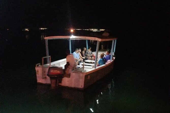 Luminous Lagoon Night Tour from Montego Bay - How the group format affects value