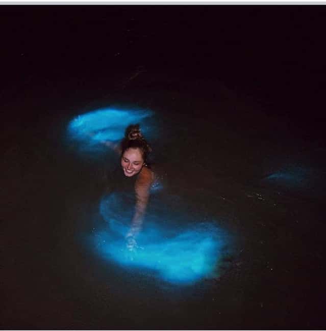 Luminous lagoon : Night Tour from Ocho Rios and Runaway Bay - Is the $81 price fair?