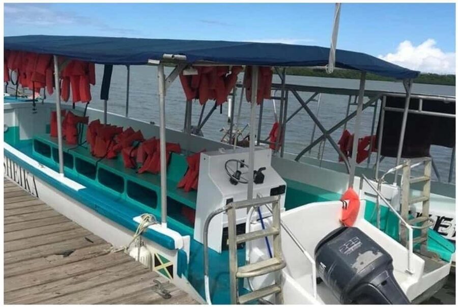 Luminous lagoon : Night Tour from Ocho Rios and Runaway Bay - Who will enjoy this tour most