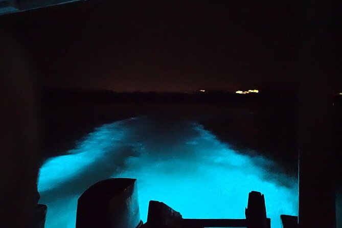 Luminous lagoon Night Tour Montego Bay - Who will enjoy this night tour most?