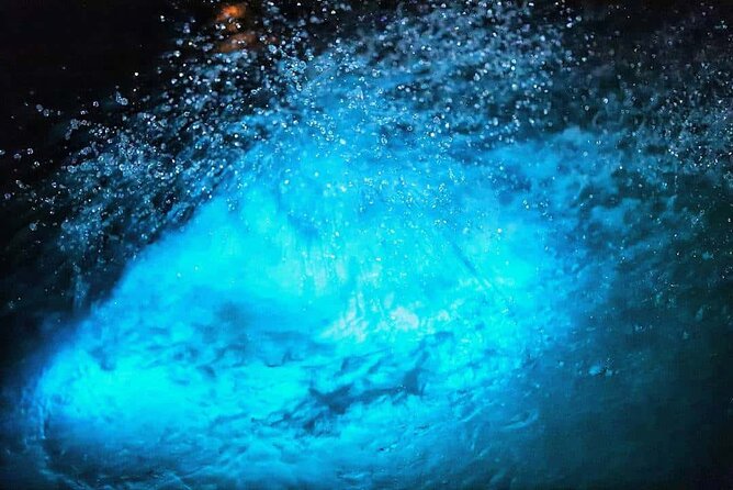 Luminous lagoon Night Tour Montego Bay - Timing, weather, and cancellation details