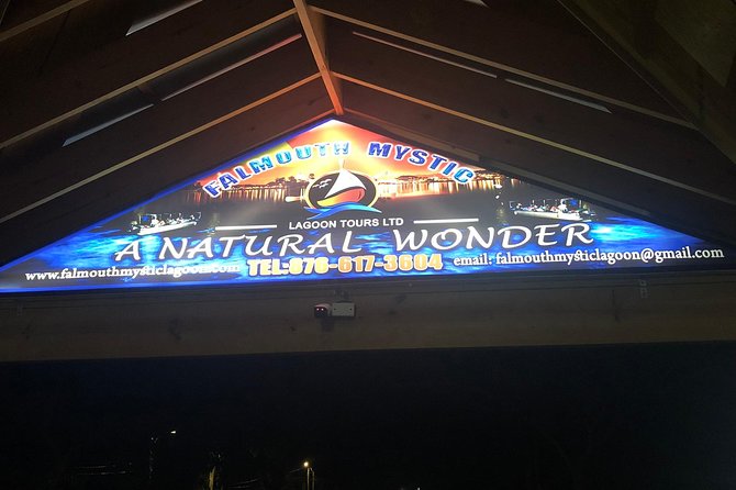 Luminous Lagoon Private Tour - Why private transportation makes sense from Negril