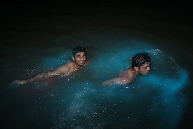 Luminous Lagoon Private Tour - What happens at the marina