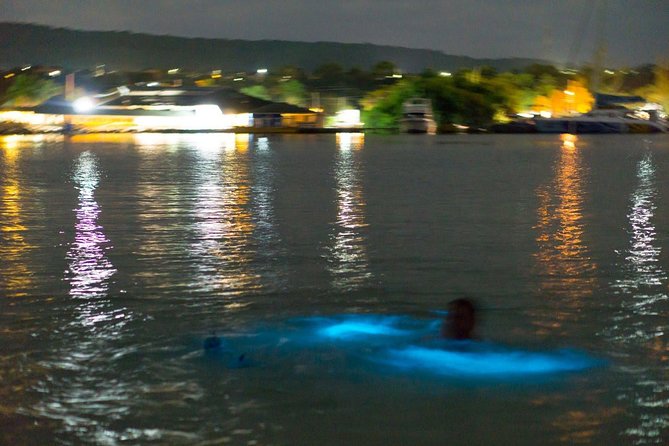 Luminous Lagoon Sightseeing Tour in Montego Bay - Key points to know before you book