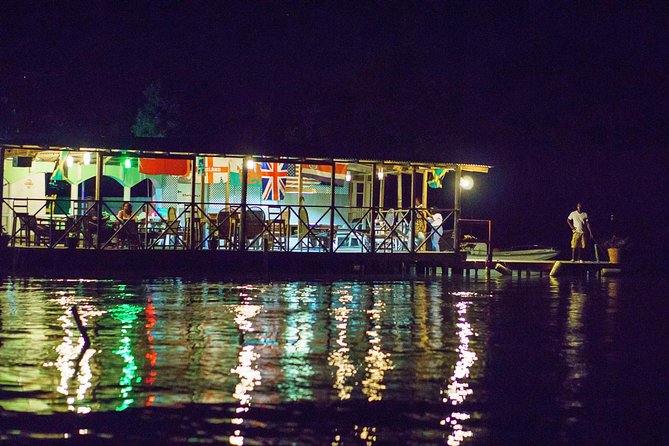 Luminous Lagoon Sightseeing Tour in Montego Bay - Why the water glows after sunset