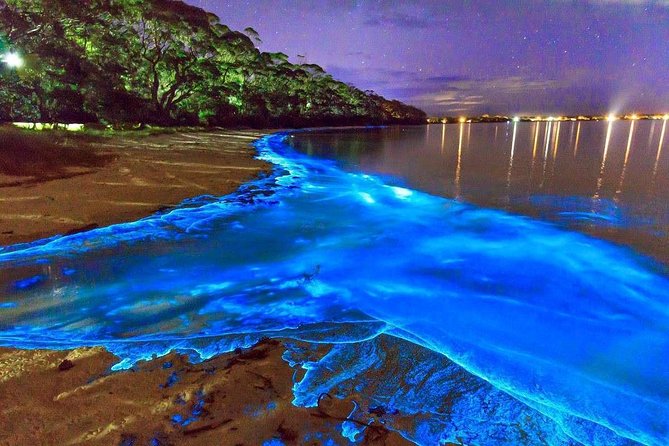 Luminous Lagoon Small Group Tour from Montego Bay - Key points to know before you book