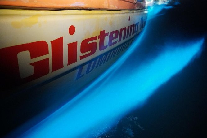 Luminous Lagoon Small Group Tour from Montego Bay - Is $250 per person fair value?