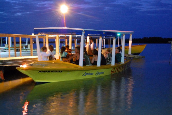 Luminous Lagoon Small Group Tour from Montego Bay - Falmouth and the short boat ride