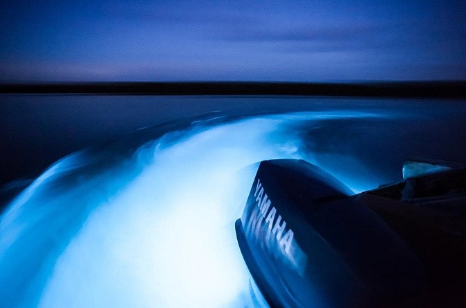Luminous Lagoon Tour from Montego Bay - Leaving Montego Bay at 6 p.m.