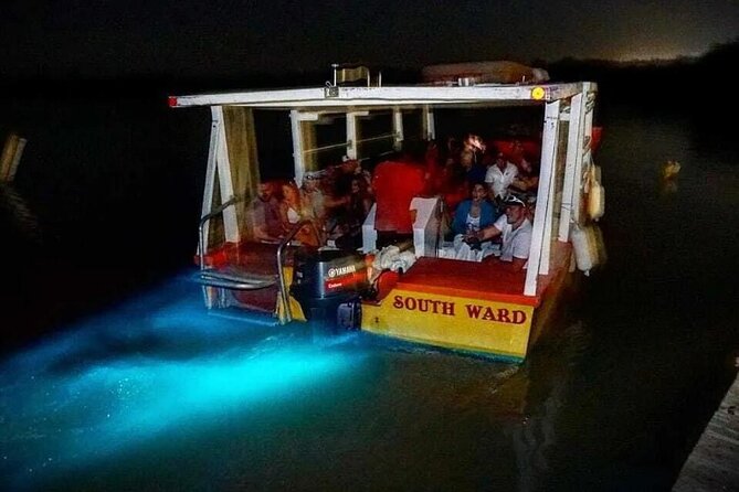 Magical Luminous Lagoon Private Tour - Why Luminous Lagoon feels different after dark