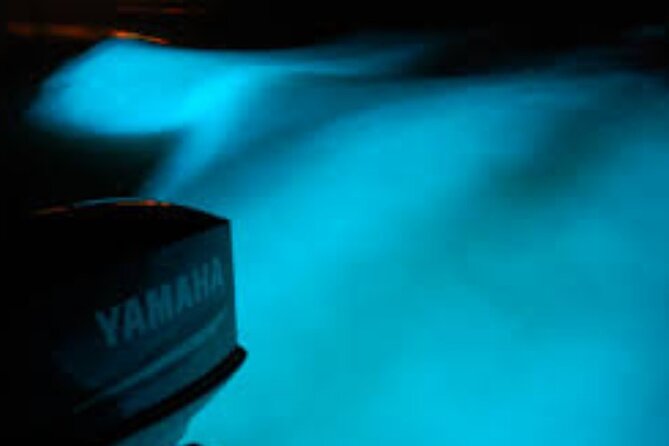 Magical Luminous Lagoon Private Tour - What the private format adds