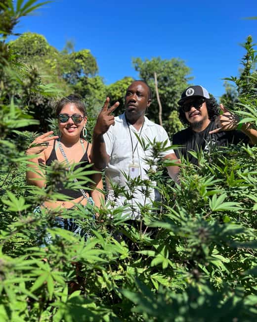 Marijuana Farm, Bamboo Rafting and Doctors Cave Beach Tour - Doctors Cave Beach for clear water and shade