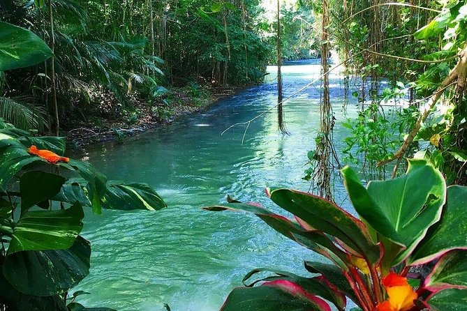 Martha Brae Rafting Adventure - Is $160 a fair price?