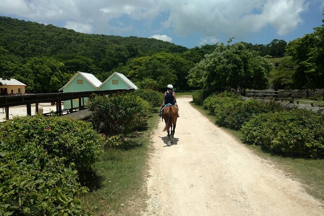 Martha Brae Rafting, Horseback Riding and Luminous Lagoon - Triple Treat - Braco Stables, countryside, and Caribbean surf