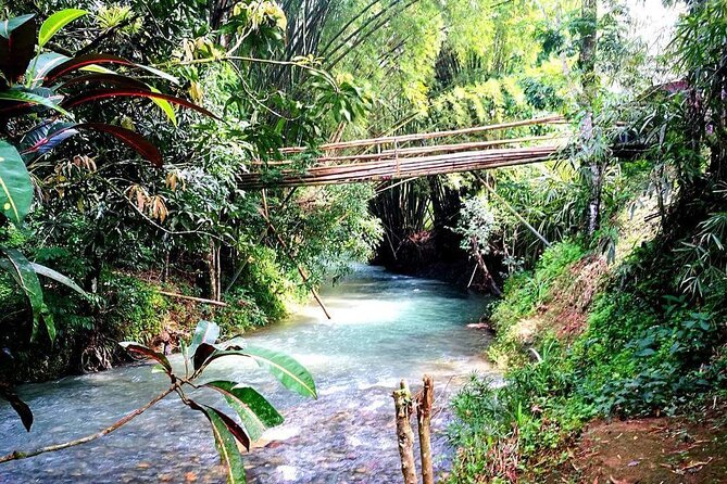 Mayfield Falls, Blue Hole & Rick's Café Tours/Weed Farm option - Rick’s Café brings a different kind of Jamaica