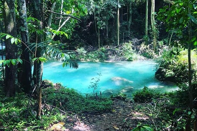 Mayfield Falls, Blue Hole & Rick's Café Tours/Weed Farm option - The route is convenient, but six hours moves quickly