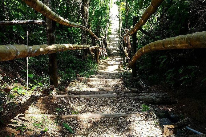 Mayfield Falls, Blue Hole & Rick's Café Tours/Weed Farm option - Blue Hole offers a choice at 22 feet