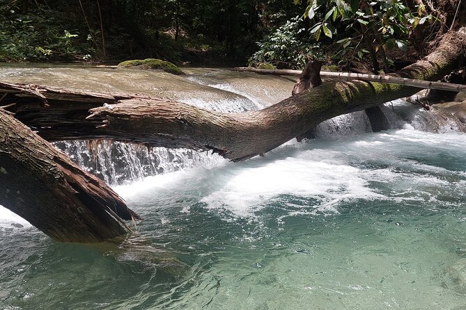 Mayfield Falls nature walk - What the four to five hours really includes