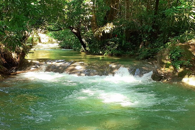 Mayfield Falls nature walk - Arriving at Mayfield Falls and meeting your river guide