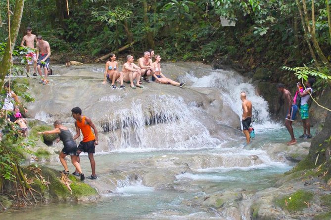 Mayfield Falls Private Tour - Key points to know before you book