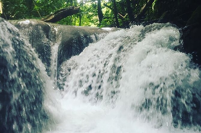Mayfield Falls Tour with Lunch, drink, Entry & Transp(Original) - Transport from Montego Bay and the timing