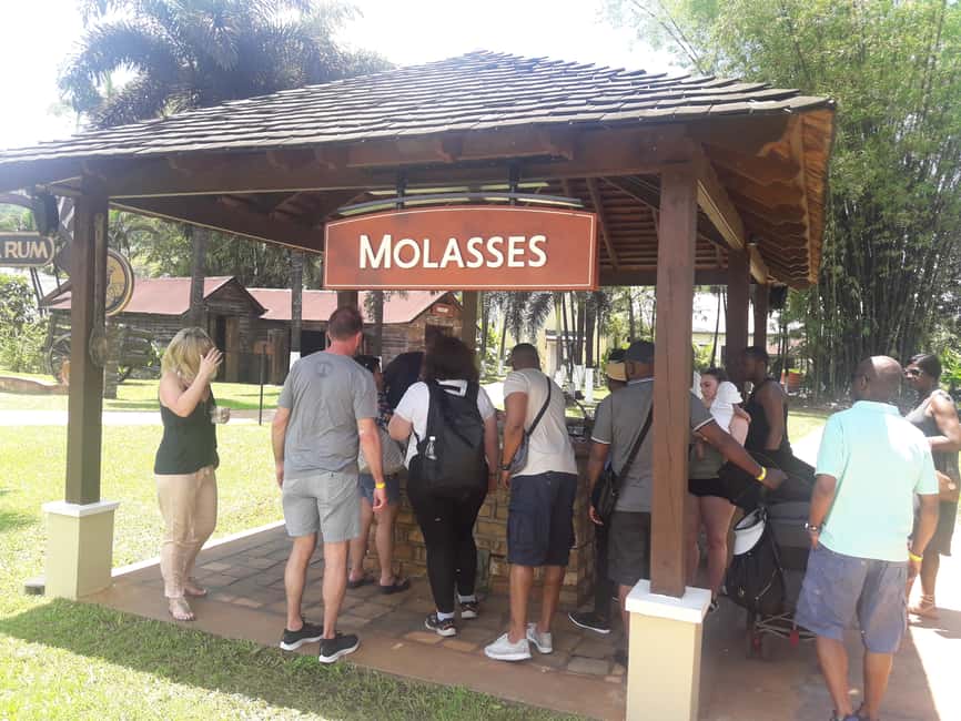Montego Bay: 8-Hour Appleton & Pelican Bar Return Transfer - Inside Appleton Estate: sugar cane, molasses, and rum