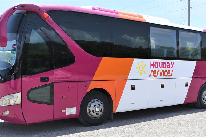 Montego Bay Airport (MBJ) Transfer One-Way or Round-Trip to Hotel - Who should book this transfer?