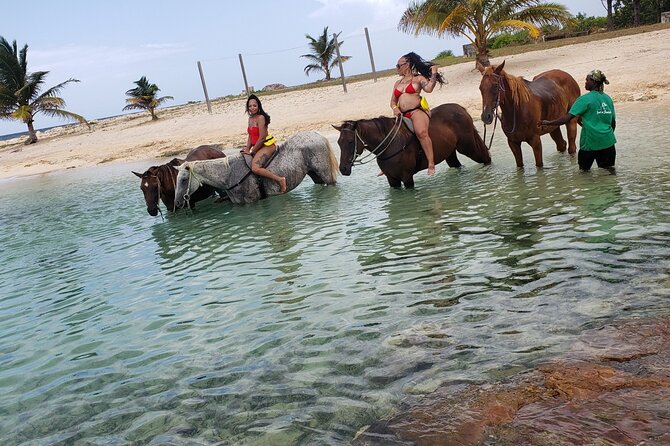 Montego Bay Airport Round Trip Transfer - Booking, confirmation, and cancellation details