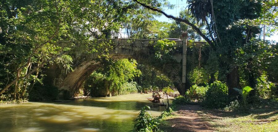 Montego Bay: Bamboo Raft Cruise on the Great River - Who will enjoy this most