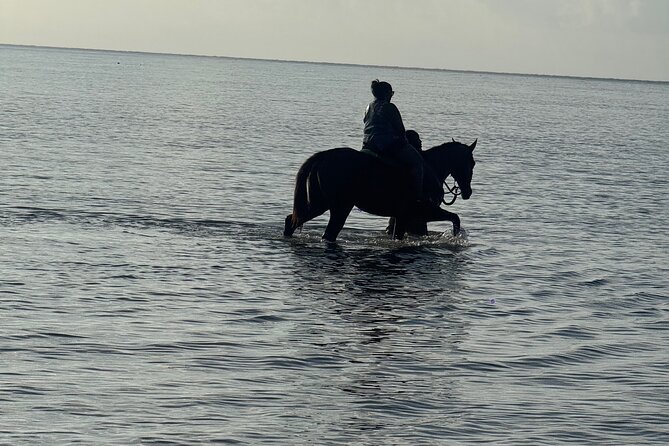 Montego Bay Beach Horseback Riding Tour - How the two-hour timing works