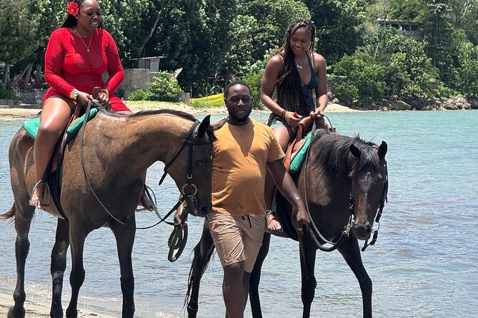 Montego Bay Beach Horseback Riding Tour - Is the $80 price fair?