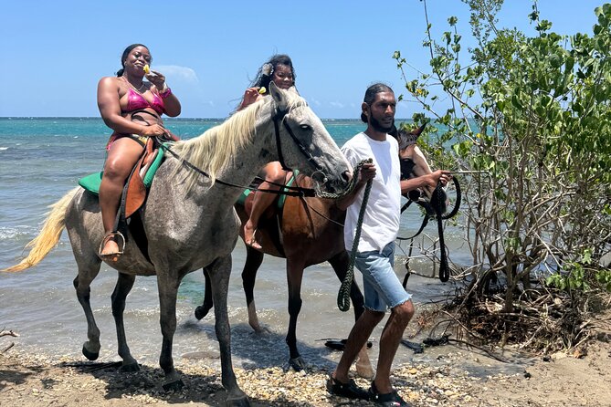 Montego Bay Beach Horseback Riding Tour - Who will enjoy this ride most