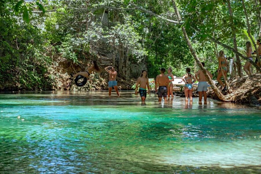 Montego Bay: Blue Hole, Dunn’s River, and Reggae Hill Tour - Who should choose this Jamaican combination tour