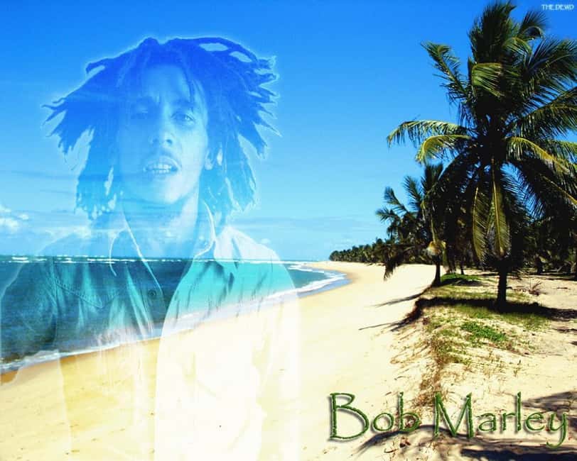 Montego Bay: Bob Marley Tour to 9 Mile, St. Ann - Key points to know before booking