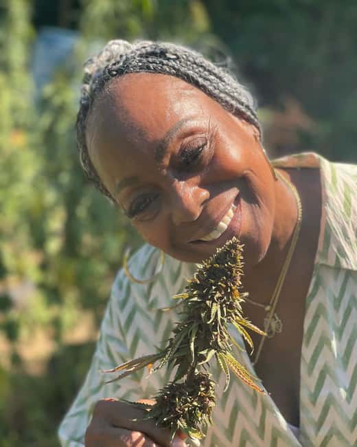 Montego Bay: Cannabis Farm, Bamboo Rafting, & Foot Massage - What the $186 price really covers