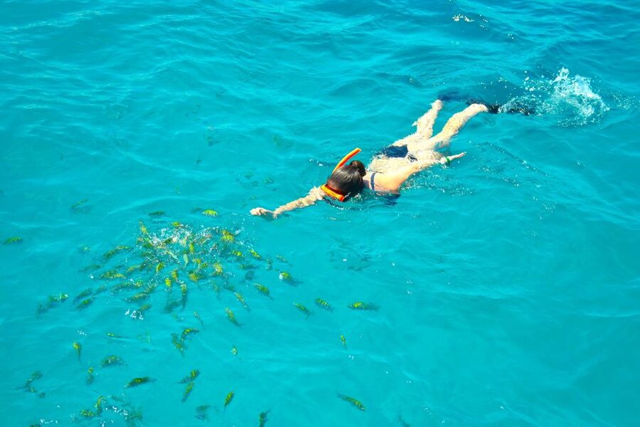 Montego Bay Catamaran Cruise and Snorkeling Tour - The front nets are the best seat on board