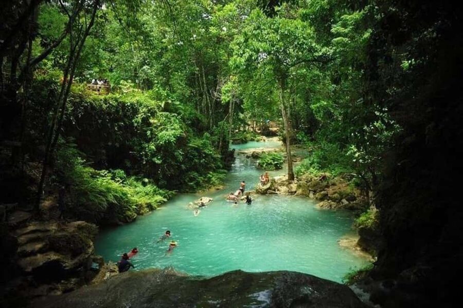 Montego Bay: Chuck Norris Falls & Dunn's River Falls Tour - Climbing Dunn’s River Falls with options