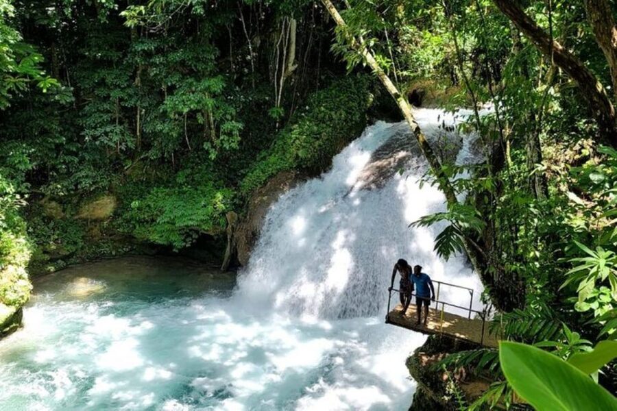 Montego Bay: Chuck Norris Falls & Dunn's River Falls Tour - Is $175 a fair price?