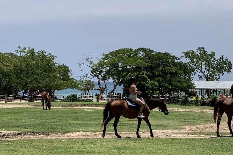 Montego Bay: Day Trip with Zipline, ATV, and Horseback Ride - Getting there by private air-conditioned vehicle
