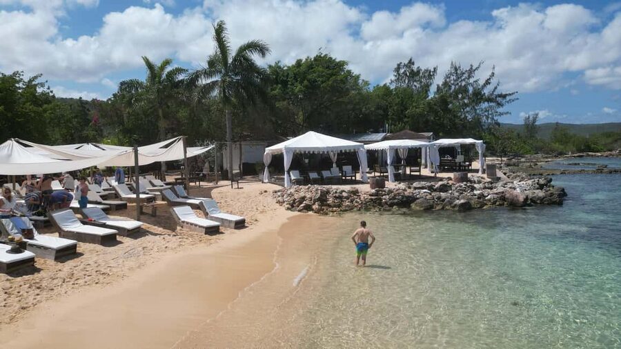 Montego Bay: Dunn's River Falls & Lunch at Bamboo Beach Club - Who will enjoy this tour most
